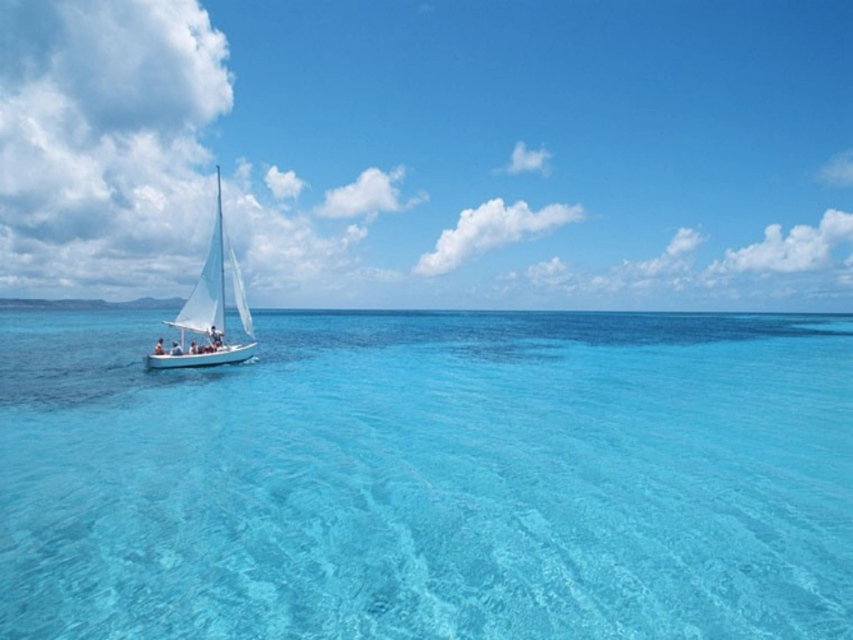 Xu9AUnit2Reading1_第3页