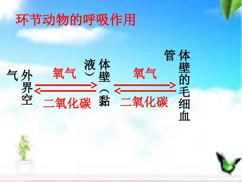 环节动物的呼吸作用_第1页