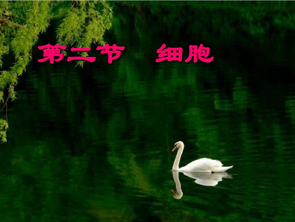 2.2细胞(1)_第1页
