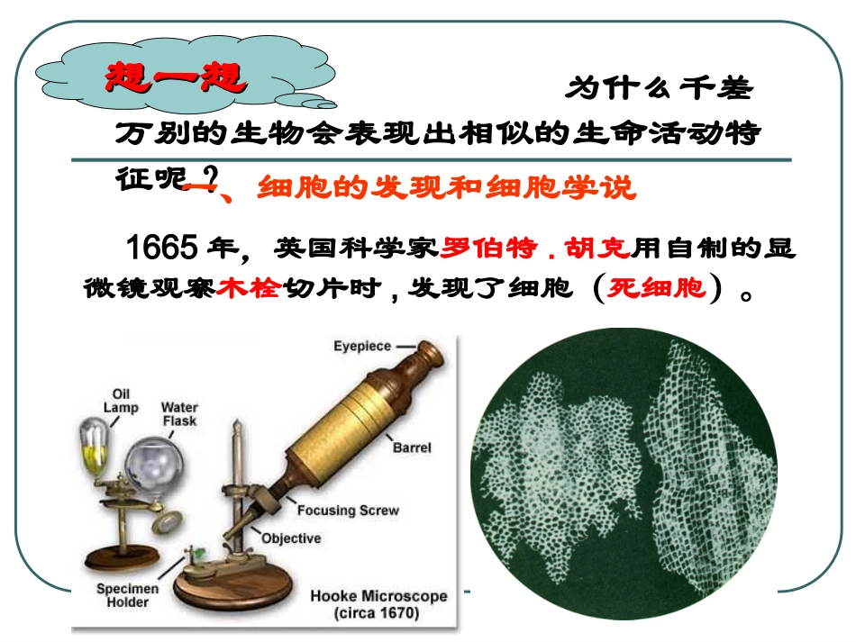 2.2细胞(1)_第3页