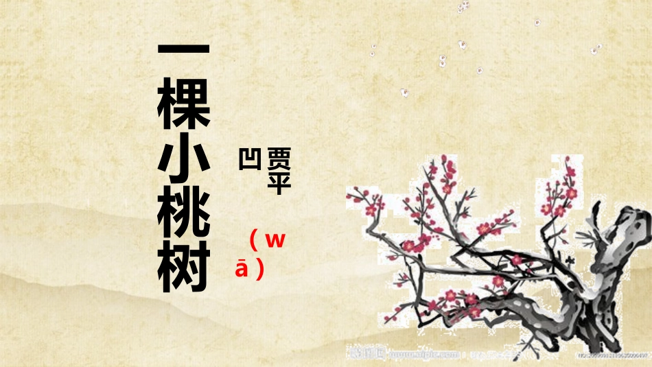 (部编)初中语文人教2011课标版七年级下册一颗小桃树PPT课件_第3页