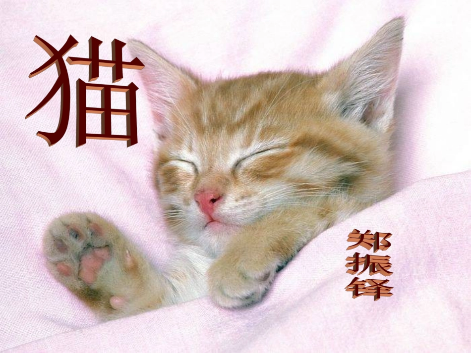 (部编)初中语文人教2011课标版七年级上册第17课--猫_第1页