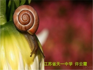 第1节食物链-(3)