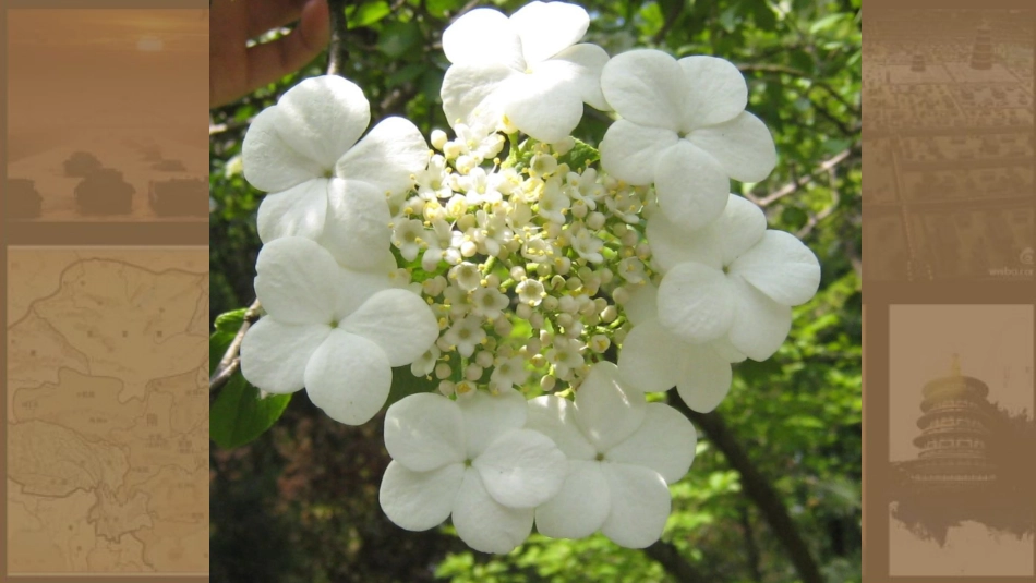 第1课隋朝的统一与灭亡-(3)_第2页