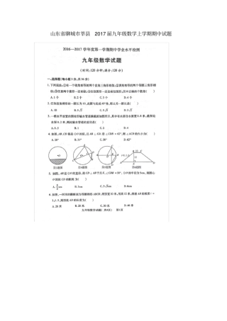 九年级数学上学期期中试题扫描版青岛版
