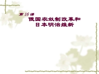 第16课俄国农奴制改革和日本明治维新2