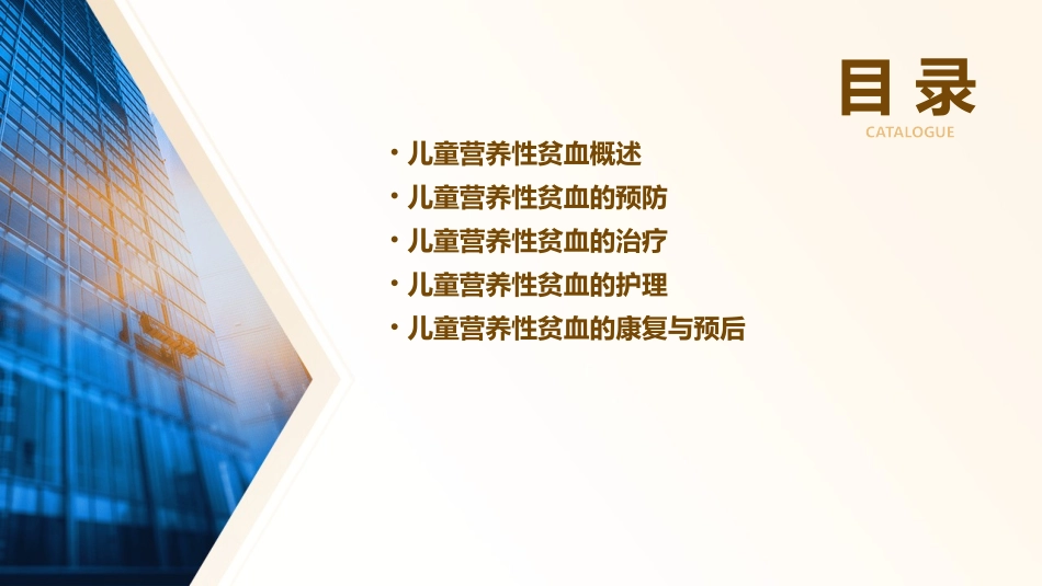 儿童营养性贫血护理课件_第2页