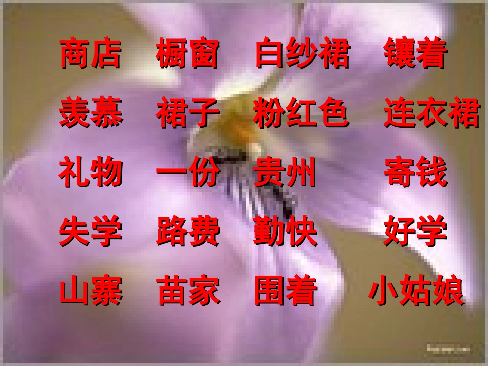 日记两则课件_第2页