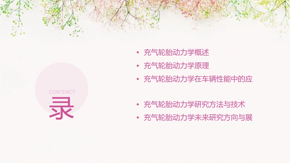 充气轮胎动力学概要课件1_第2页