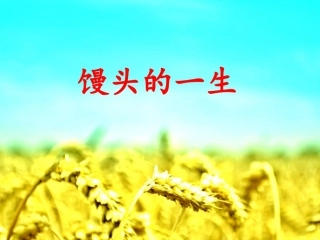 (苏教版)四年级品德与社会上册课件-衣食的来源-1