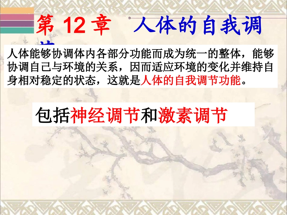 第1节神经系统与神经调节_第1页