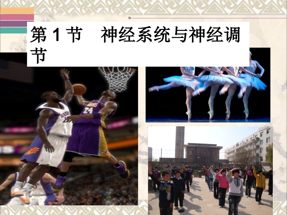 第1节神经系统与神经调节_第2页