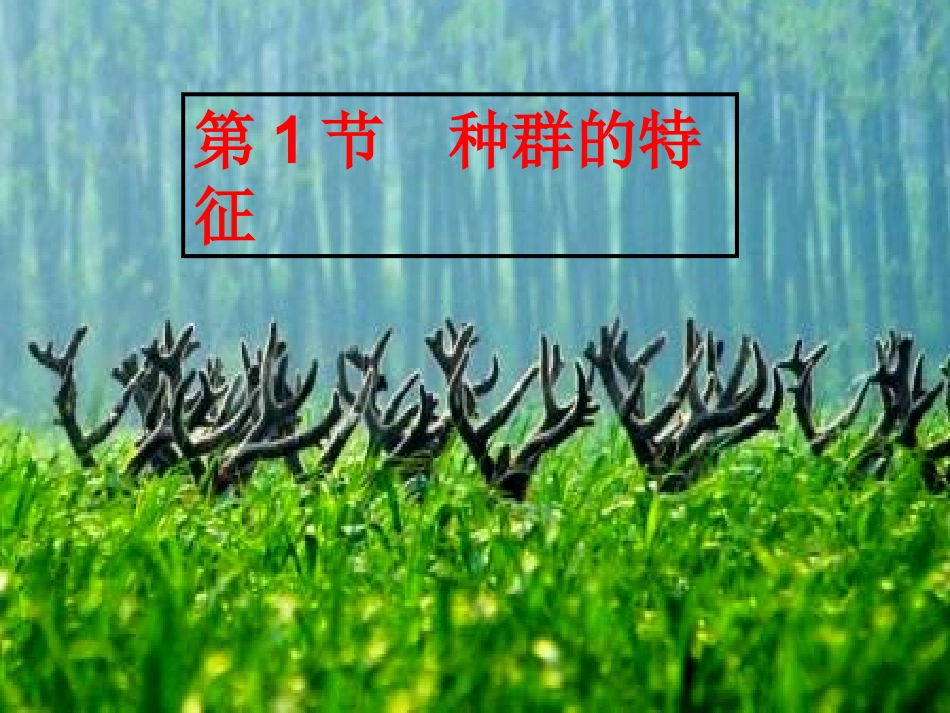 《种群的特征》课件上课用_第3页