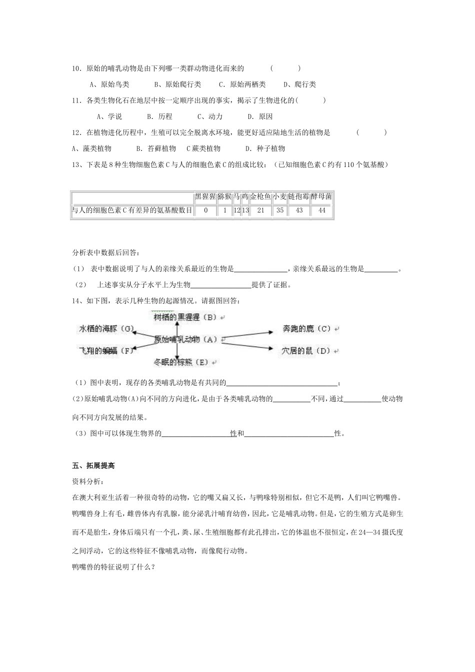 《第二节生物进化的历程》学案_第3页