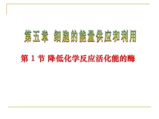 5.1-降低化学反应活化能的酶