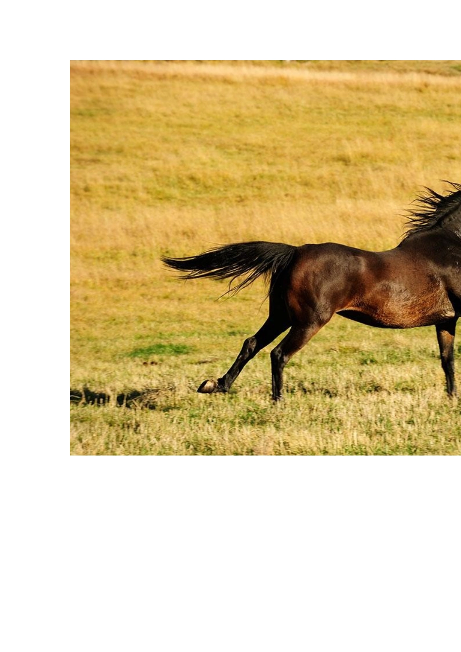 马说设计图片_第3页