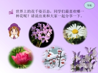 《紫藤萝瀑布》0703