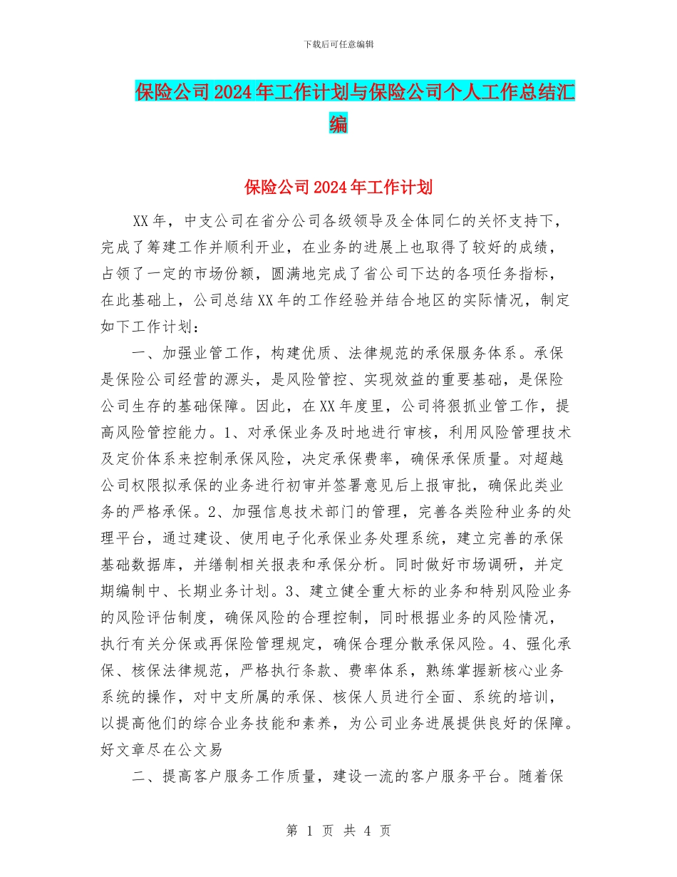 保险公司2024年工作计划与保险公司个人工作总结汇编_第1页