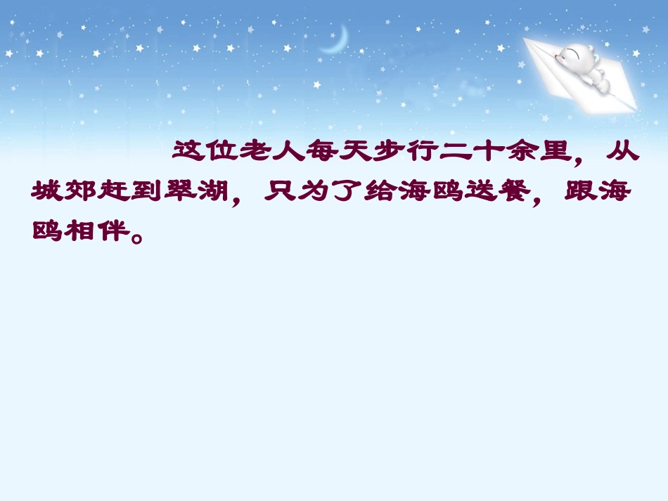 《老人与海鸥》教学课件_第2页