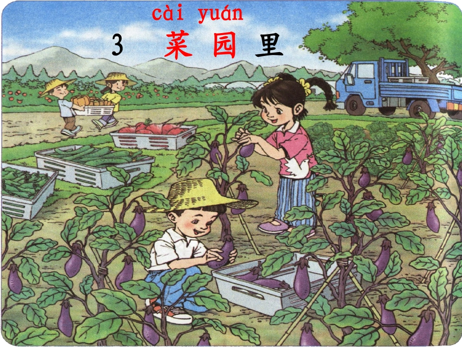 (3)、菜园里_第1页