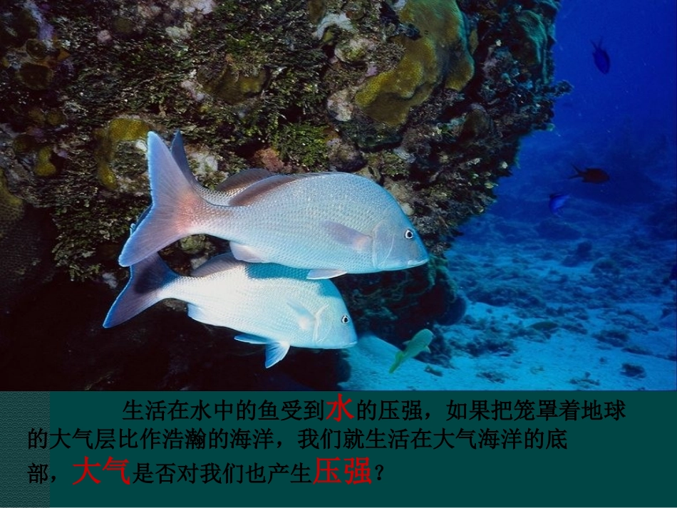 4.大气压强_第2页