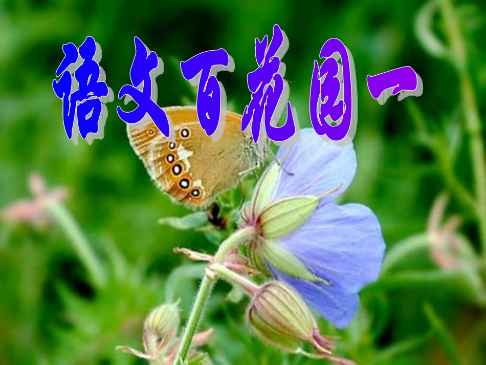 语文百花园一_第1页