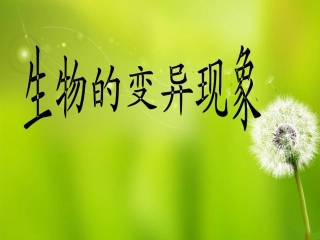 2生物的变异现象