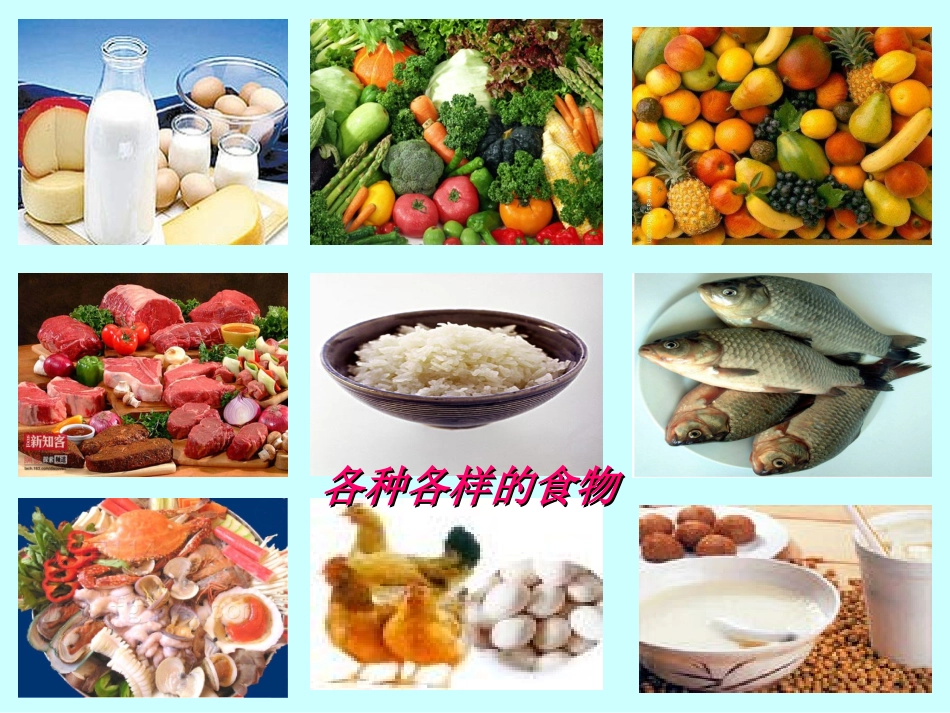 第三节营养物质的吸收和利用-(2)_第2页