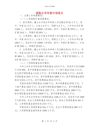 保险公司年度计划范文