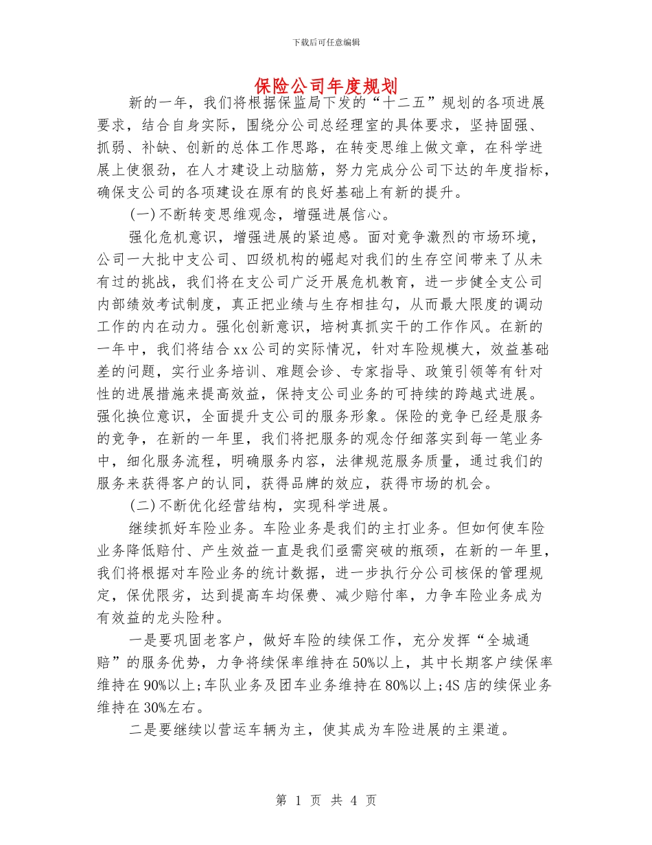 保险公司年度规划_第1页