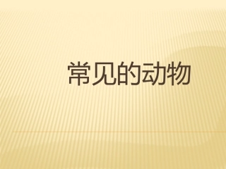 2常见的动物