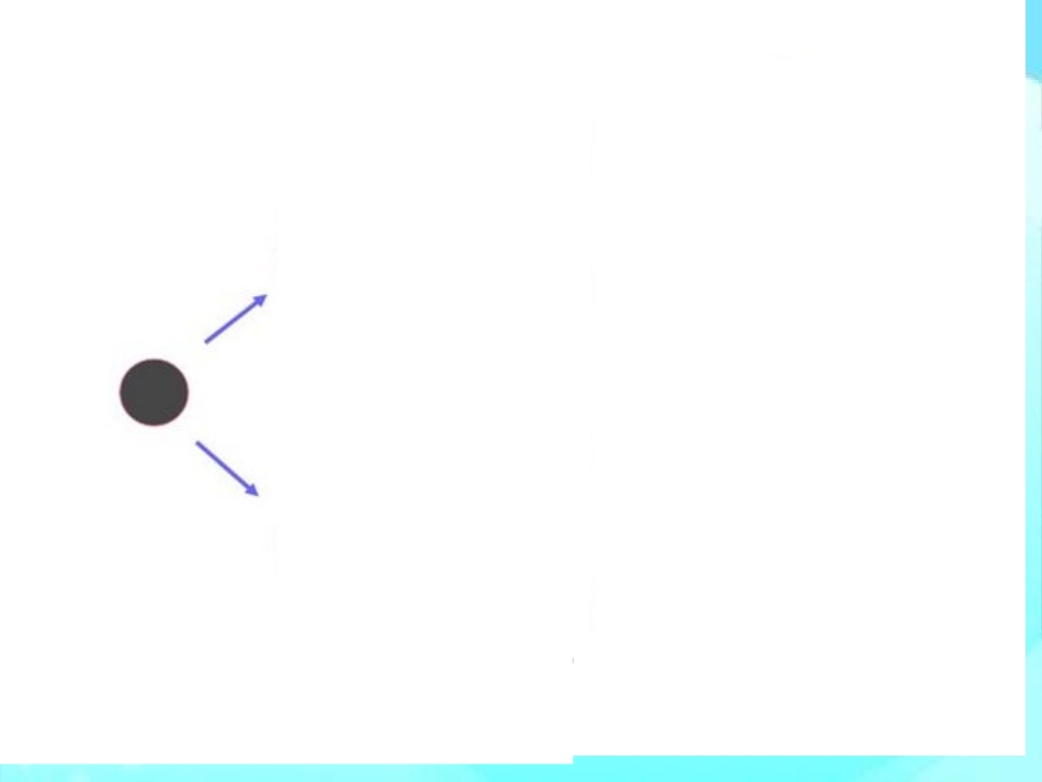 第1节细胞的分化_第2页