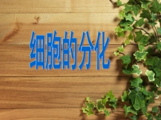 第1节细胞的分化