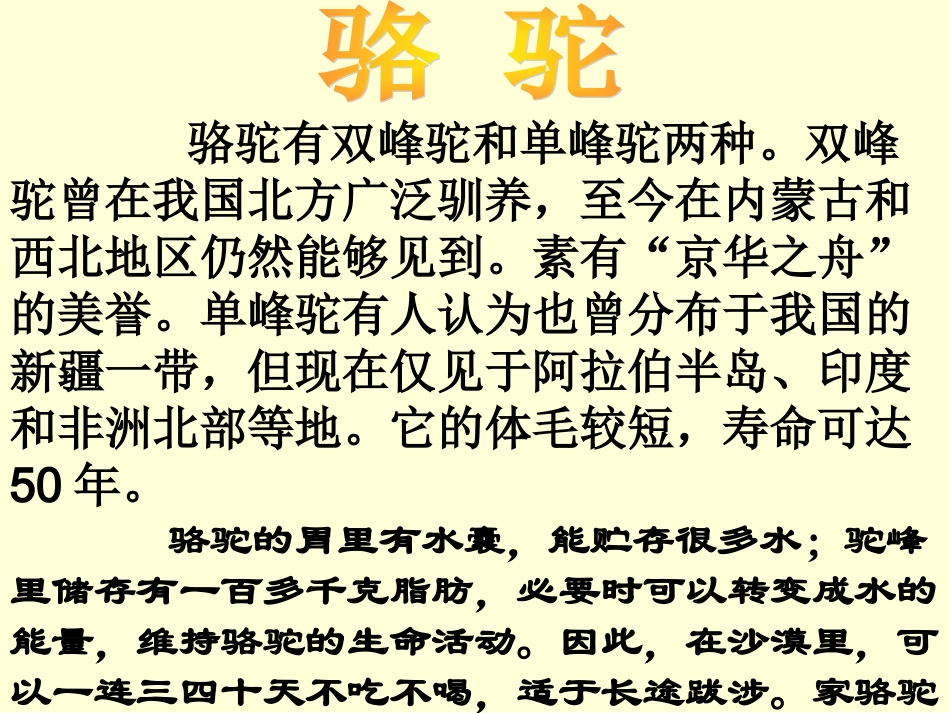 16、找骆驼_第3页