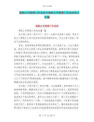 保险公司营销工作总结与保险公司营销工作总结范文汇编