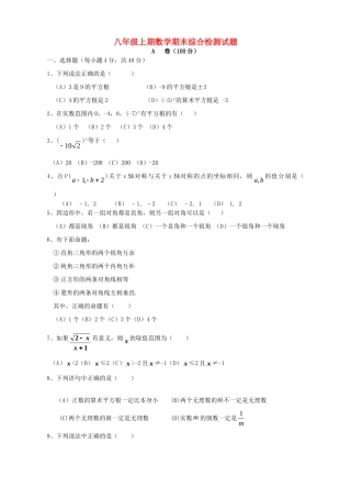 四川师大附中八年级数学上期综合检测试卷(分A、B卷)  北师大版试卷