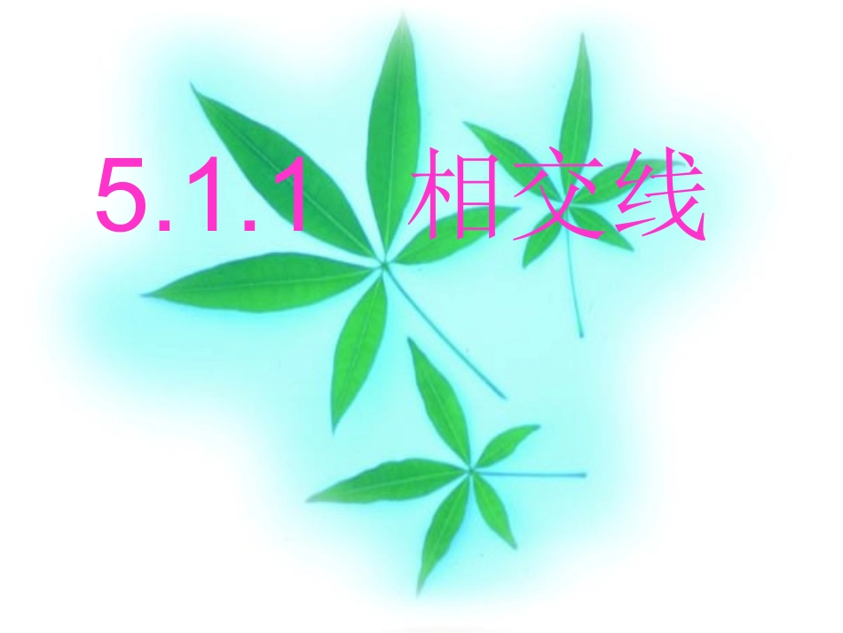 5.1.1相交线-(10)_第1页