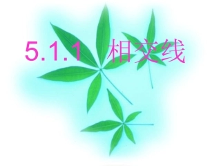 5.1.1相交线-(10)
