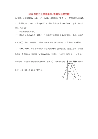 九年级数学上学期 寒假作业探究题 人教新课标版试卷