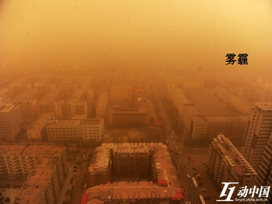 植树问题修改4_第2页