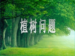 植树问题修改4
