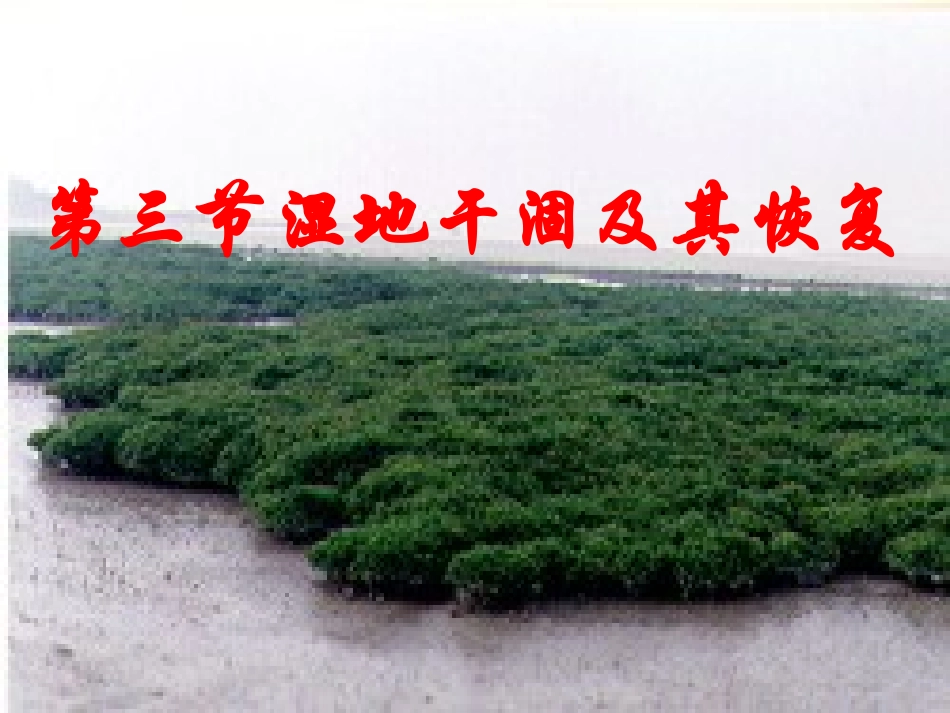 第三节-湿地干涸及其恢复_第1页