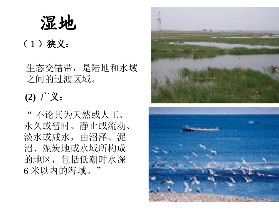 第三节-湿地干涸及其恢复_第2页