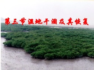 第三节-湿地干涸及其恢复