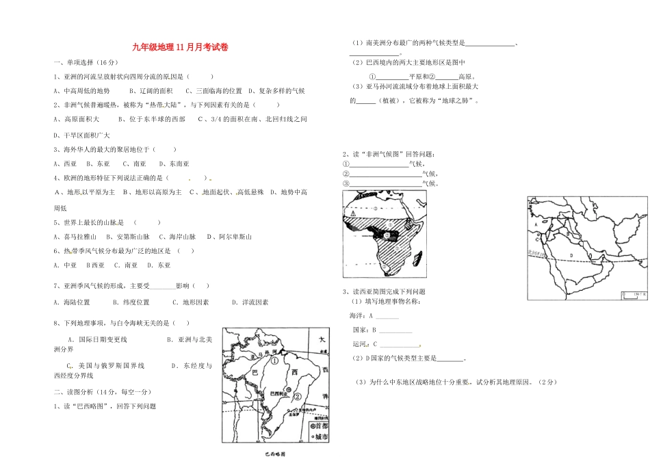 九年级地理11月月考试卷 湘教版试卷_第1页