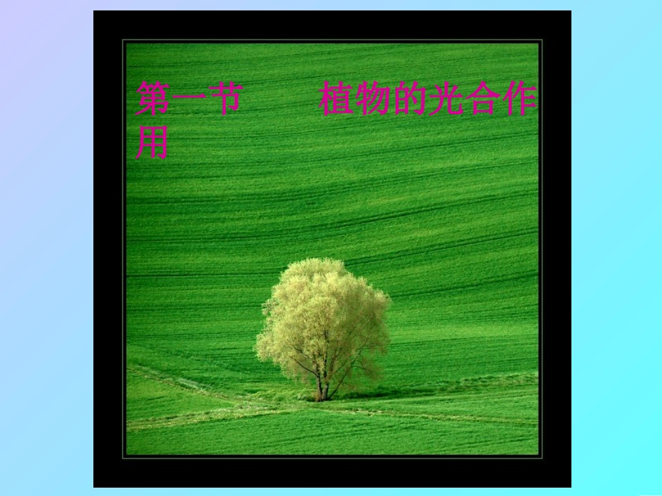 2、5、1有机物从哪里来_第1页