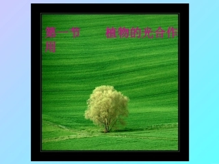 2、5、1有机物从哪里来