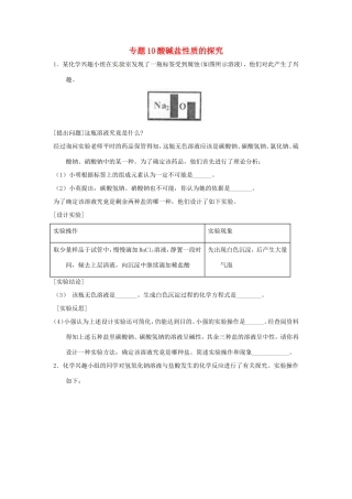 决胜中考化学压轴题揭秘 专题10 酸碱盐性质的探究(预测题，无答案) 试题