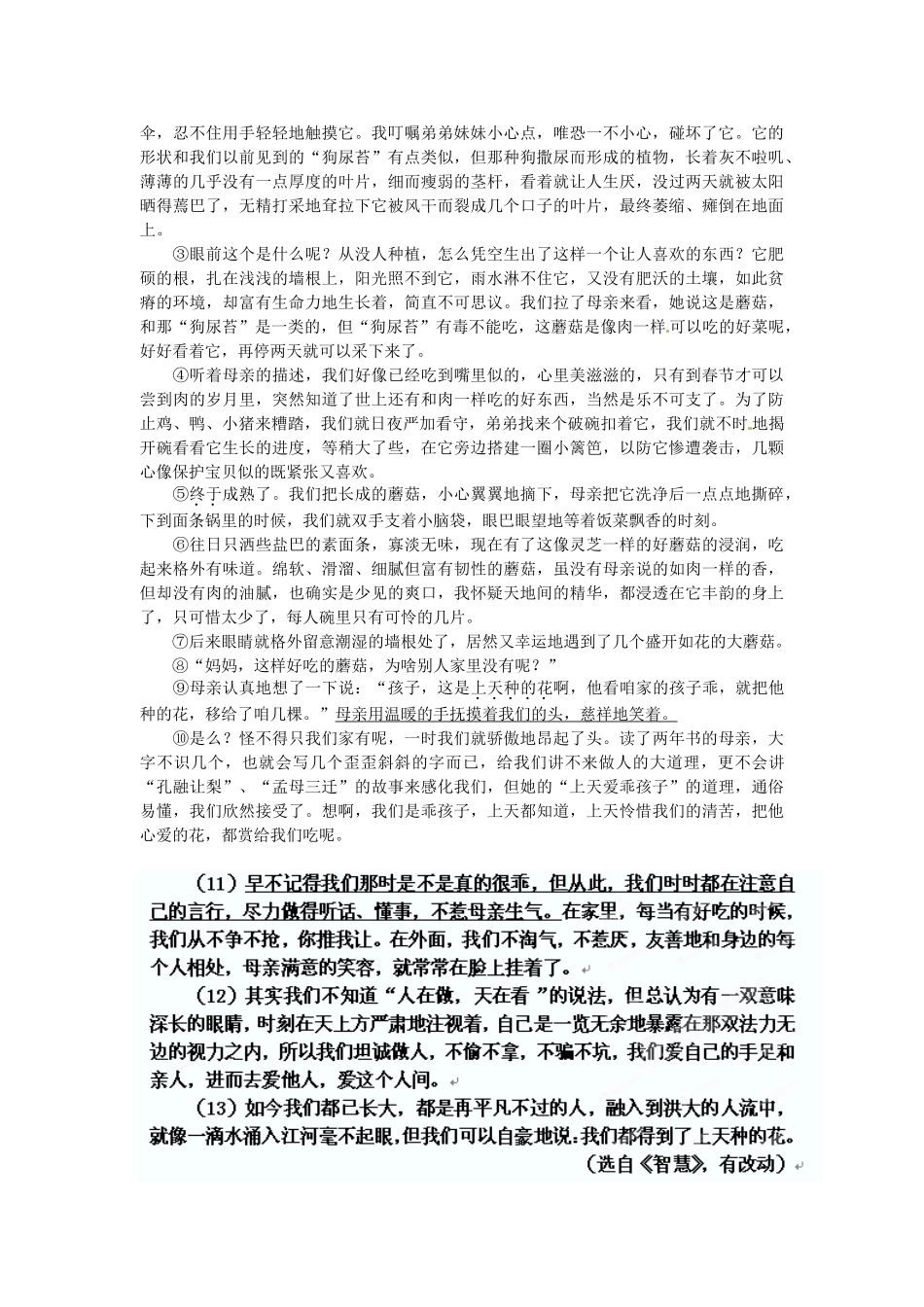 山东省枣庄市台儿庄区七年级语文阶段性诊断试卷 新人教版试卷_第3页