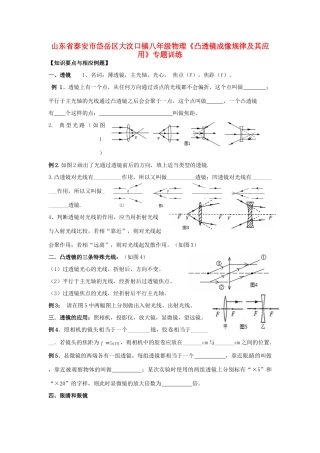 山东省泰安市岱岳区大汶口镇八年级物理(凸透镜成像规律及其应用)专题训练试卷